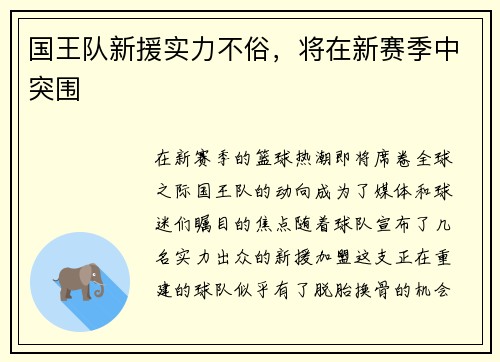 国王队新援实力不俗，将在新赛季中突围